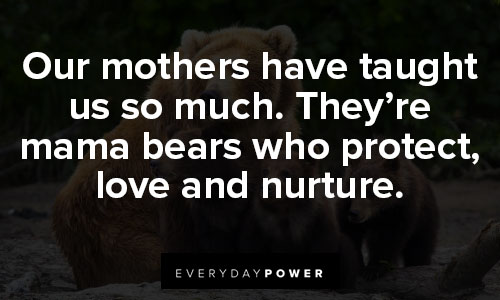 mama bear quotes about our mothers have taught us so much. They’re mama bears who protect, love and nurture