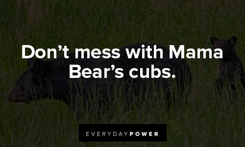 mama bear quotes about don’t mess with Mama Bear’s cubs