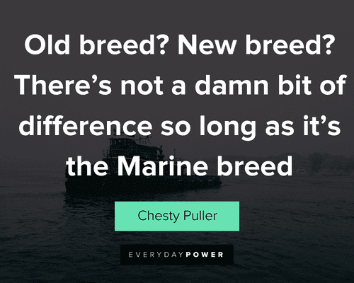 marine quotes about old breed ? new breed?