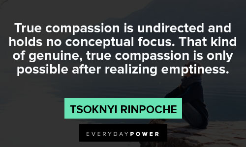 mindfulness quotes about true compassion is undirected and holds no conceptual focus