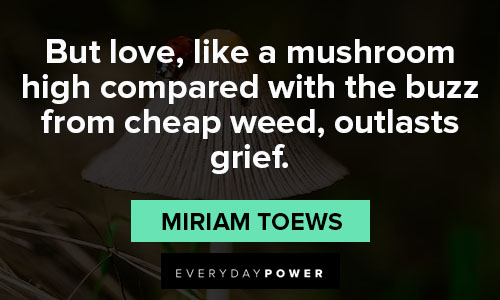 mushroom quotes from Miriam Toews