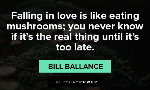 mushroom quotes about falling in love is like eating mushrooms