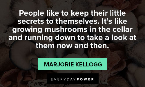 mushroom quotes about people like to keep their little secrets to themselves
