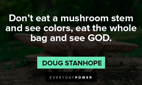 mushroom quotes about don't eat a mushroom stem and see colors, eat the whole bag and see GOD