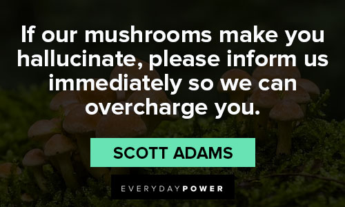 mushroom quotes from Scott Adams