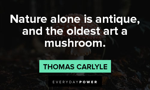 mushroom quotes about nature alone is antique, and the oldest art a mushroom