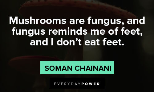 mushroom quotes about mushrooms are fungus, and fungus reminds me of feet, and I don’t eat feet