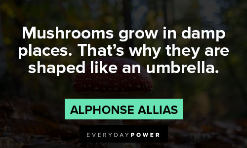 mushroom quotes about mushrooms grow in damp places. That’s why they are shaped like an umbrella
