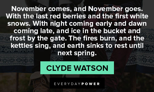 november quotes about November comes, and November goes