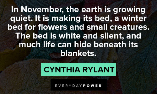november quotes about In November, the earth is growing quiet
