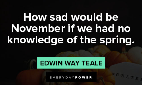 november quotes about How sad would be November if we had no knowledge of the spring