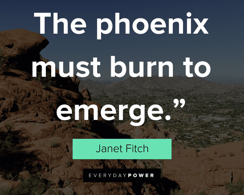 Janet Fitch Book Quotes