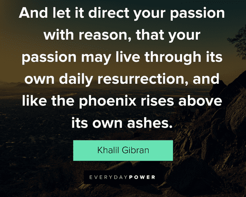 Phoenix quotes about direct your passion with reason