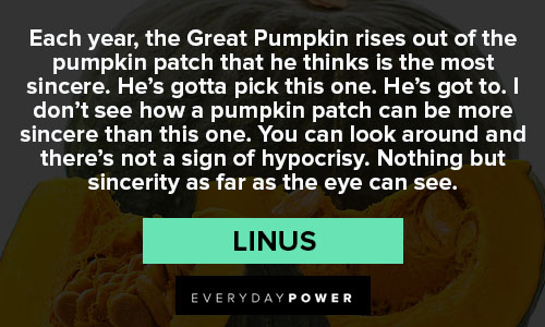 pumpkin quotes about you can look around and there's not a sign of hypocrisy