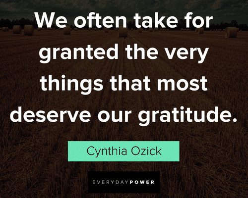Service quotes that most deserve our gratitude