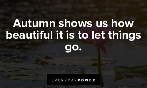 relatable quotes about autumn shows us how beautiful it is to let things go