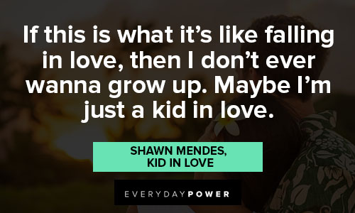 Shawn Mendes quotes on what it's like falling in love