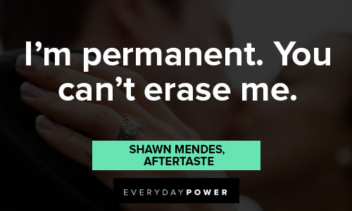 Shawn Mendes quotes about I’m permanent. You can't erase me