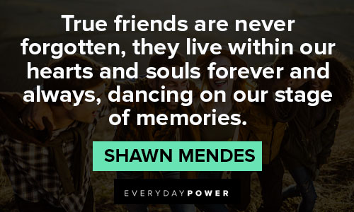 Shawn Mendes quotes about true friends are never forgotten