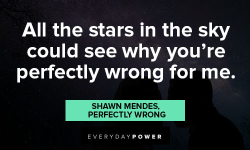 Shawn Mendes quotes about all the stars in the sky could see why you're perfectly wrong for me