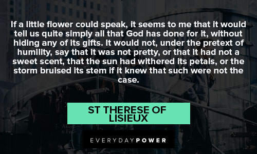 St Therese of Lisieux quotes about if a little clower could speak