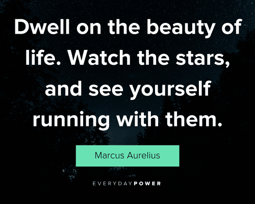 Wish upon a star  Better life quotes, Star quotes, Happy quotes