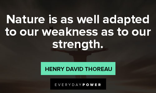 strength quotes about nature is as well adapted to our weakness as to our strength