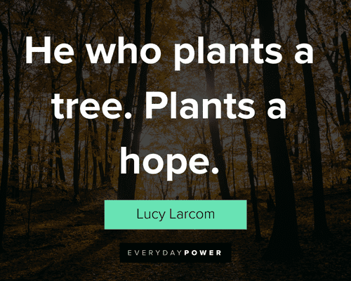 tree quotes about he who plants a tree. Plants a hope