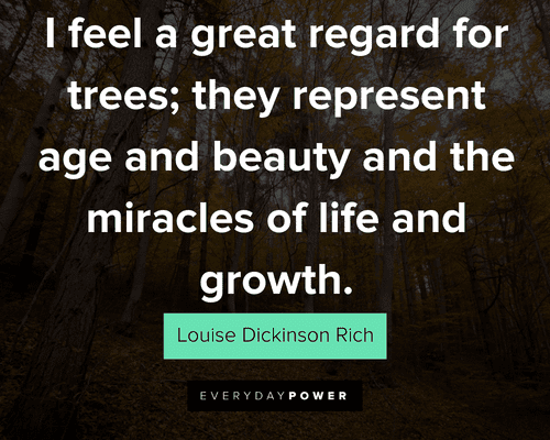 inspirational sayings about trees