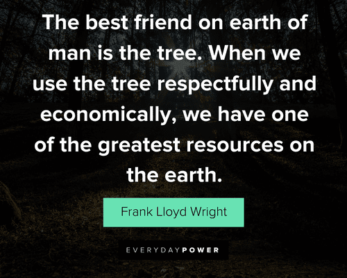 tree quotes about the best friend on earth of man is the tree