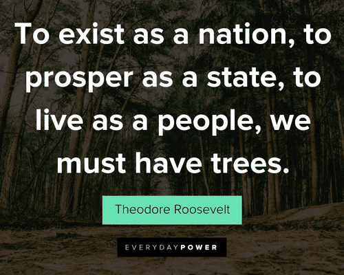 tree quotes to exist as a nation, to prosper as a state, to live as a people, we must have trees