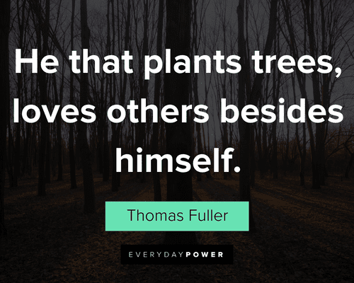 tree quotes about he that plants trees, loves others besides himself