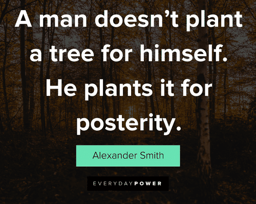 tree quotes about a man doesn’t plant a tree for himself. He plants it for posterity