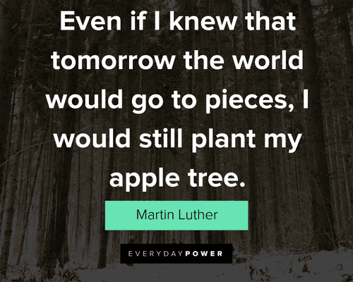 tree quotes about even if I knew that tomorrow the world would go to pieces
