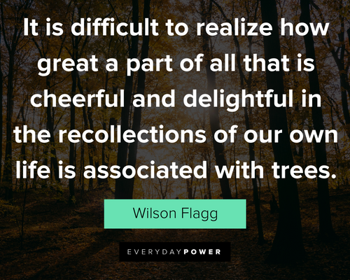 tree quotes about the recollections of our own life is associated with trees
