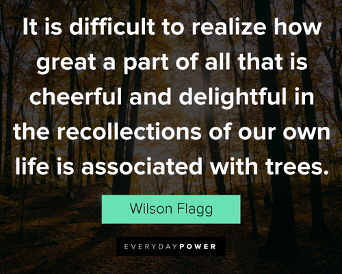 inspirational sayings about trees