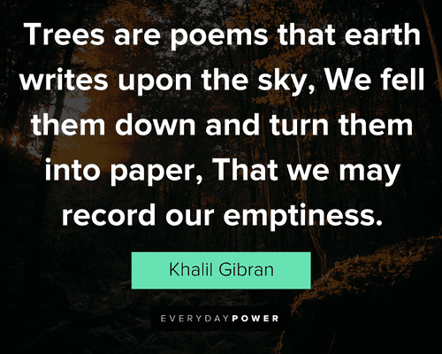 tree quotes that we may record our emptiness