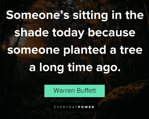 tree quotes about someone’s sitting in the shade today because someone planted a tree a long time ago