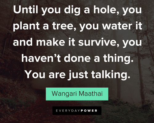 tree quotes about you water it and make it survive