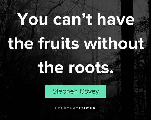tree quotes about you can’t have the fruits without the roots