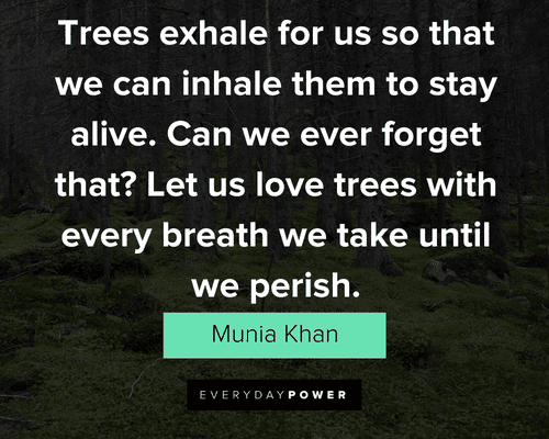 tree quotes about let us love trees with every breath we take until we perish