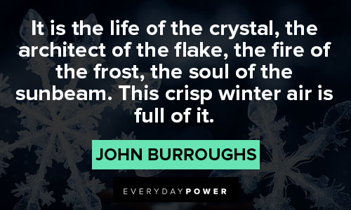 winter quotes about the life of the crystal