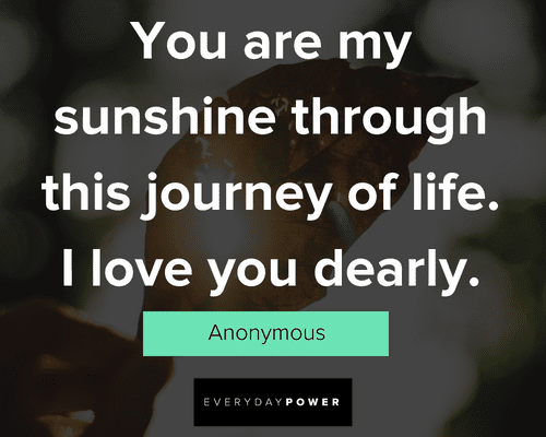 You Are My Sunshine: Uplifting Quotes for an Awesome Friend [Book]