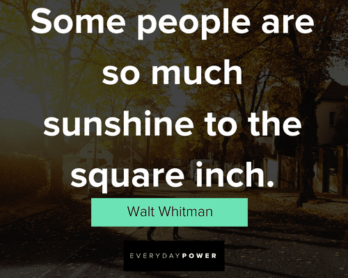 you are my sunshine quotes about some people are so much sunshine to the square inch