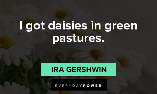 daisy quotes about instagram