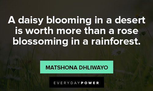 daisy quotes about rainforest
