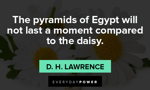 daisy quotes about Egypt