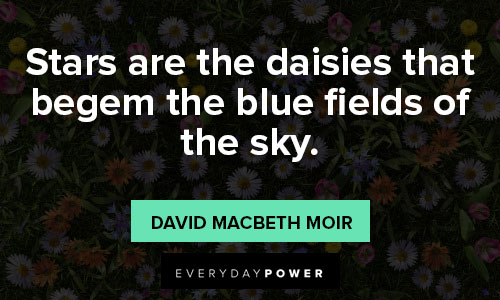 daisy quotes about sky