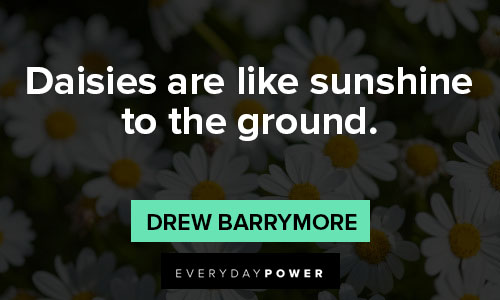 daisy flower quotes