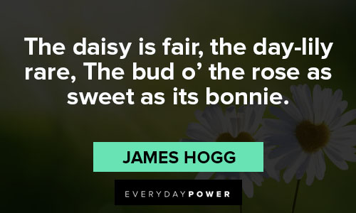 daisy quotes on from other writers and poets